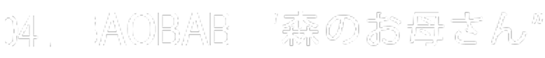04 / BAOBAB “森のお母さん”