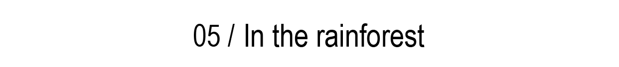 05/ In the rainforest