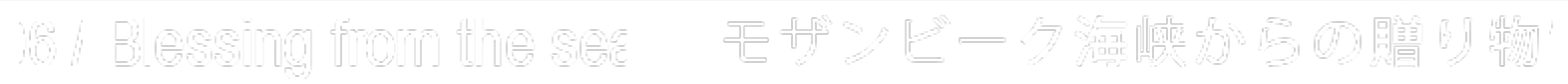 06/ Blessing from the sea “モザンビーク海峡からの贈り物”