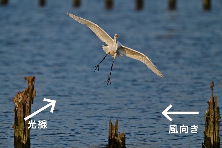 光線と風向きを確認