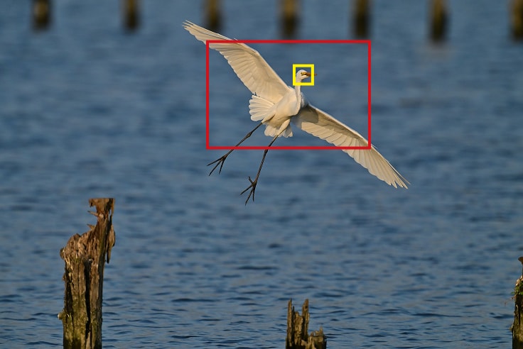 ファインダーに捉えてピント合わせ