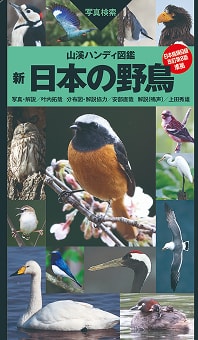 野鳥図鑑