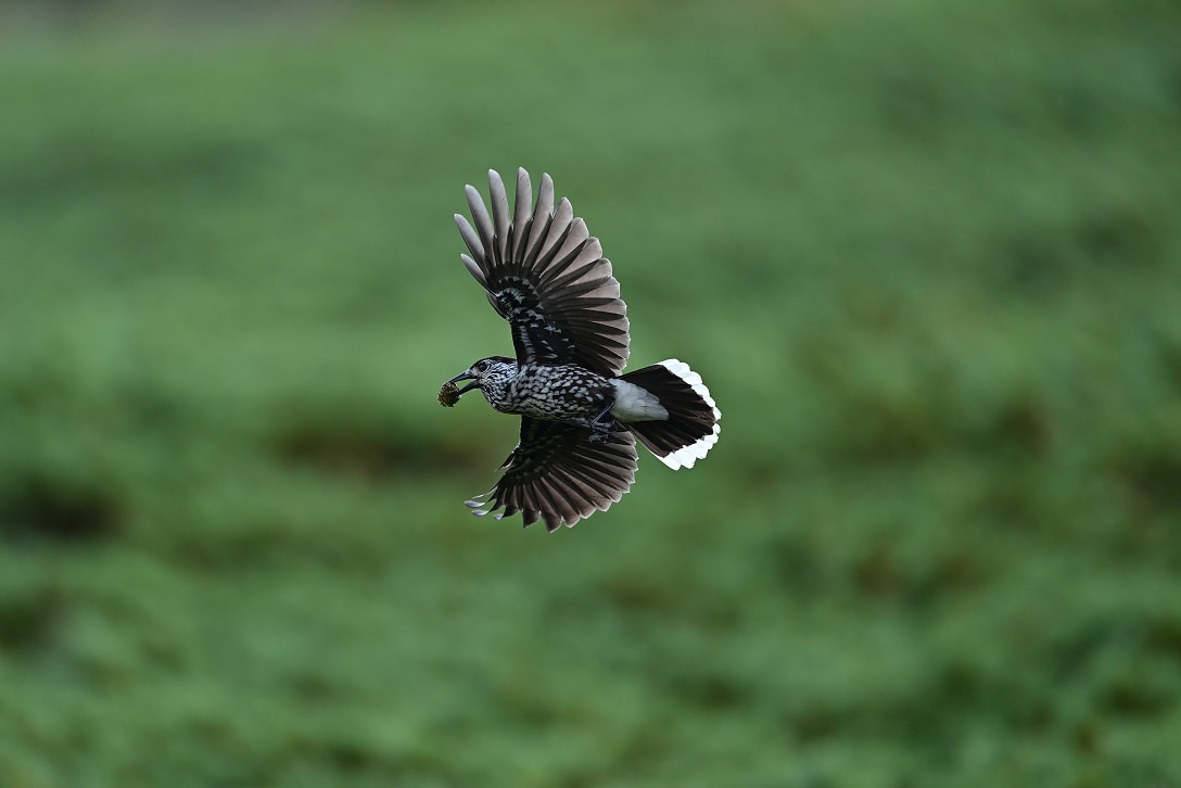部分積層型センサーの写真