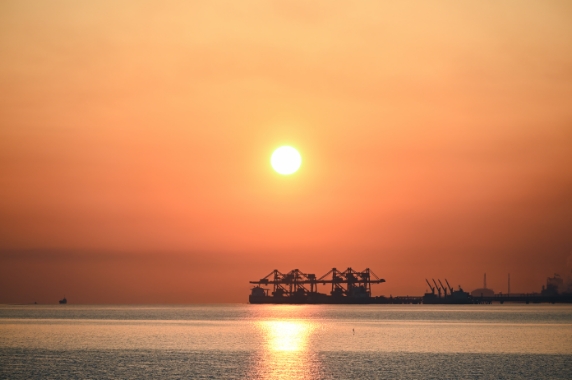 Z 30スペシャルコンテンツの作品