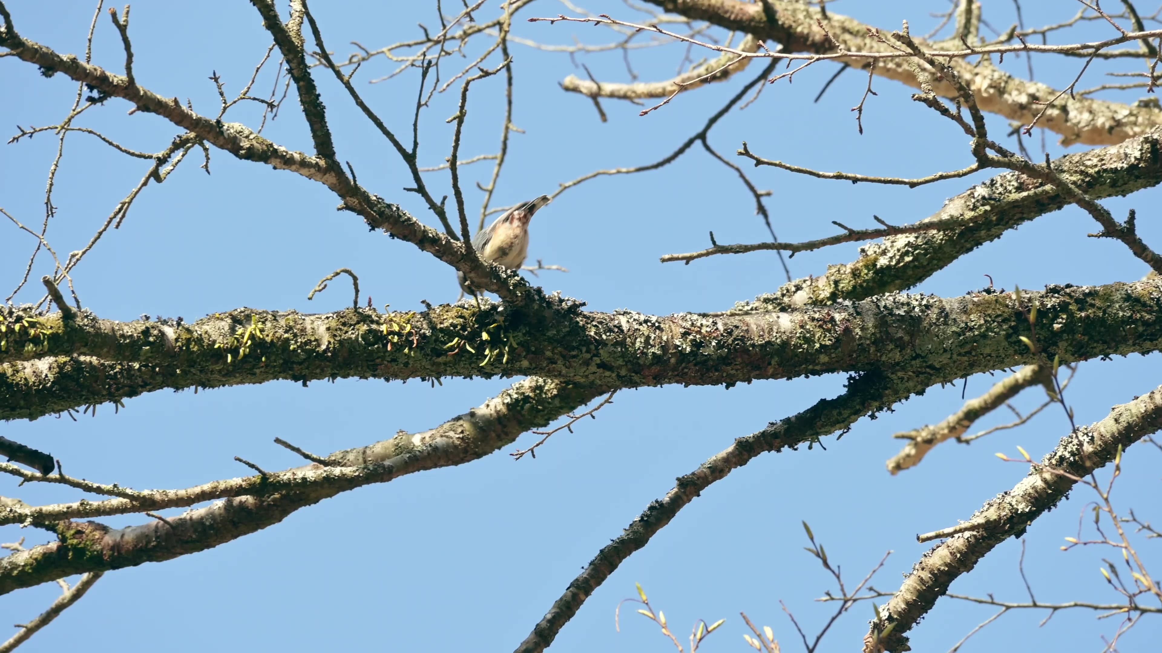 Z 30スペシャルコンテンツの作品