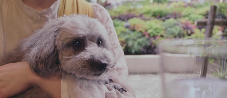 JEMMA/じぇま氏の動画作例 Z 30スペシャルコンテンツ