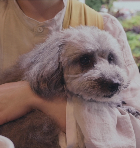 JEMMA/じぇま氏の動画作例 Z 30スペシャルコンテンツ