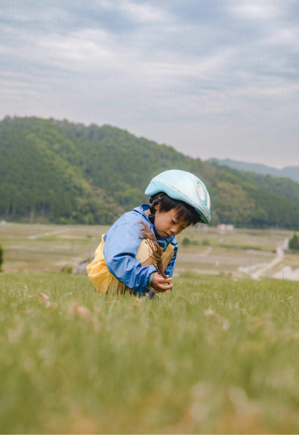 Z 30スペシャルコンテンツの作品