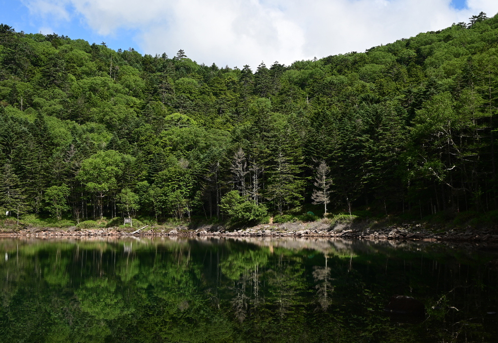 Z 30スペシャルコンテンツの作品
