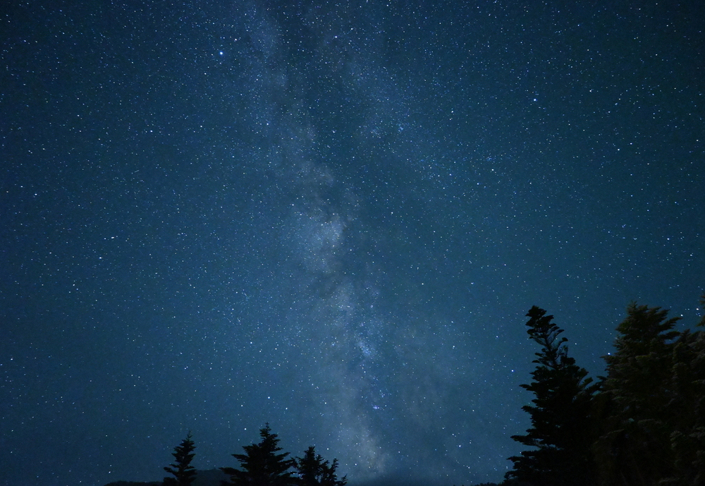 Z 30スペシャルコンテンツの作品