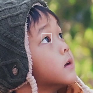 フォーカス検出イメージ