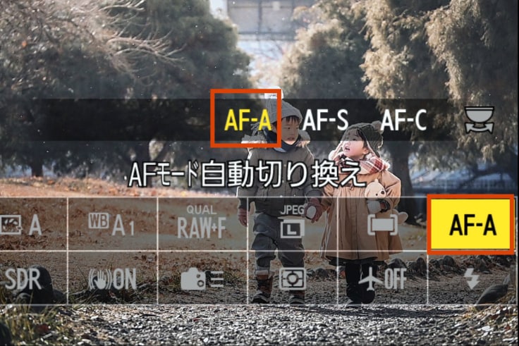 AF-A設定画面