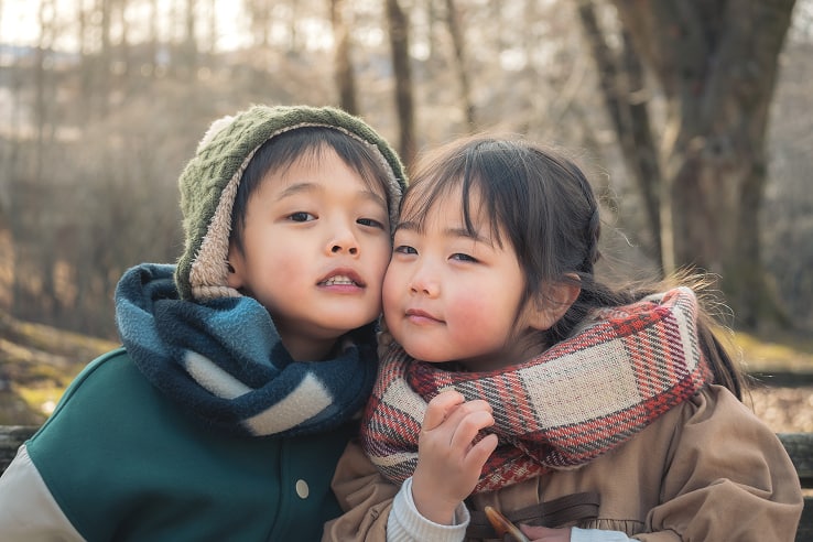 近づいて撮影した写真