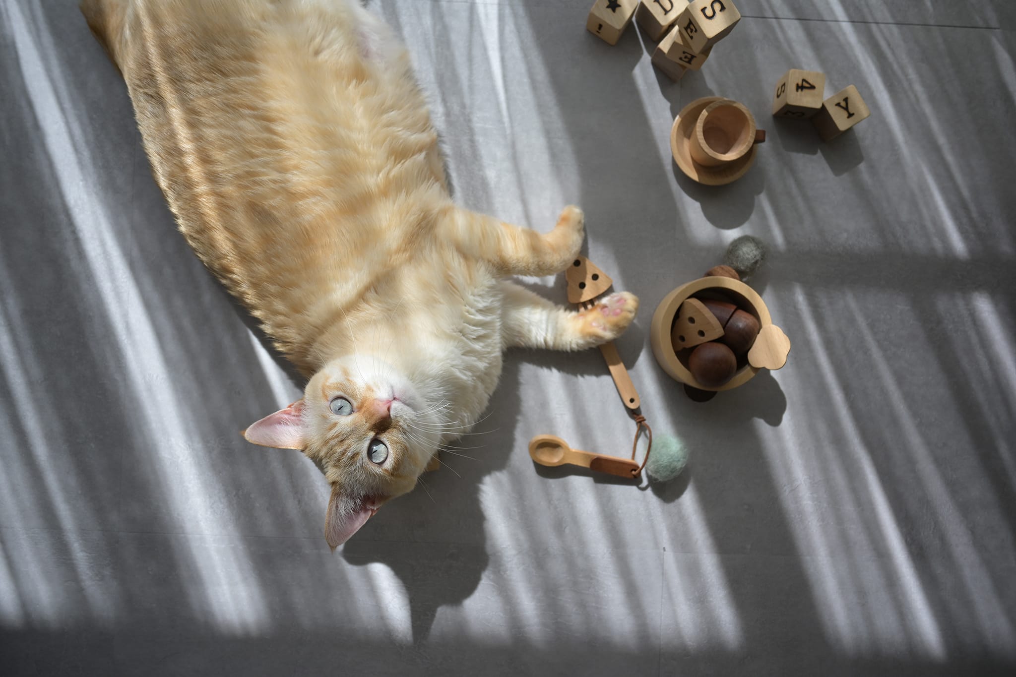 Z5II 24-50 レンズキット