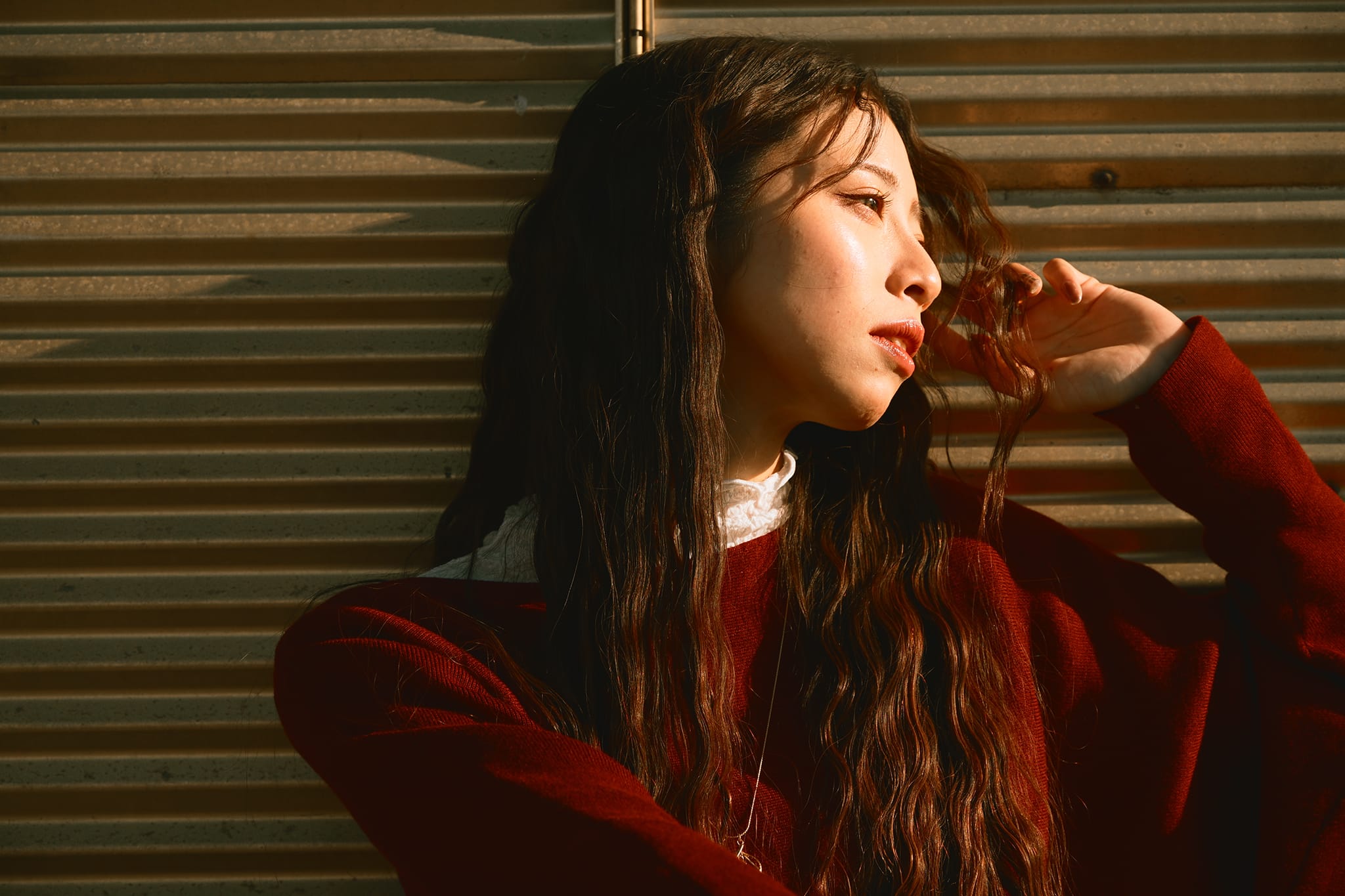 Z5II 24-50 レンズキット