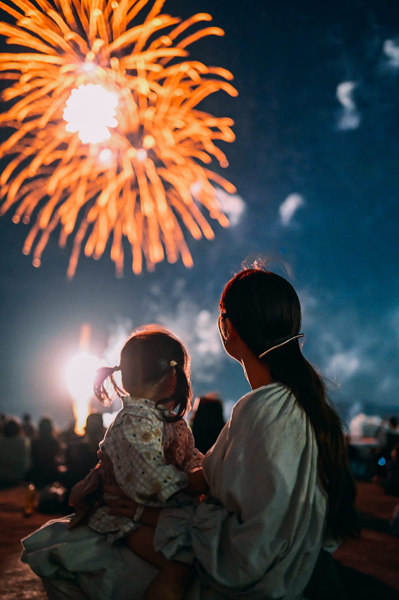 暗い夜空の花火を美しく描いた写真