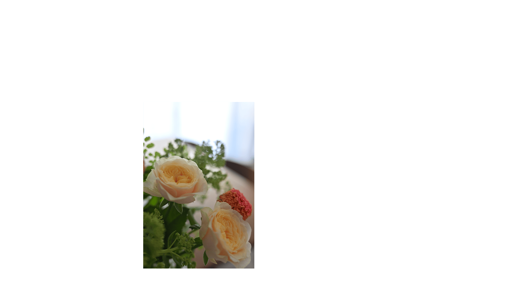 クローズアップ