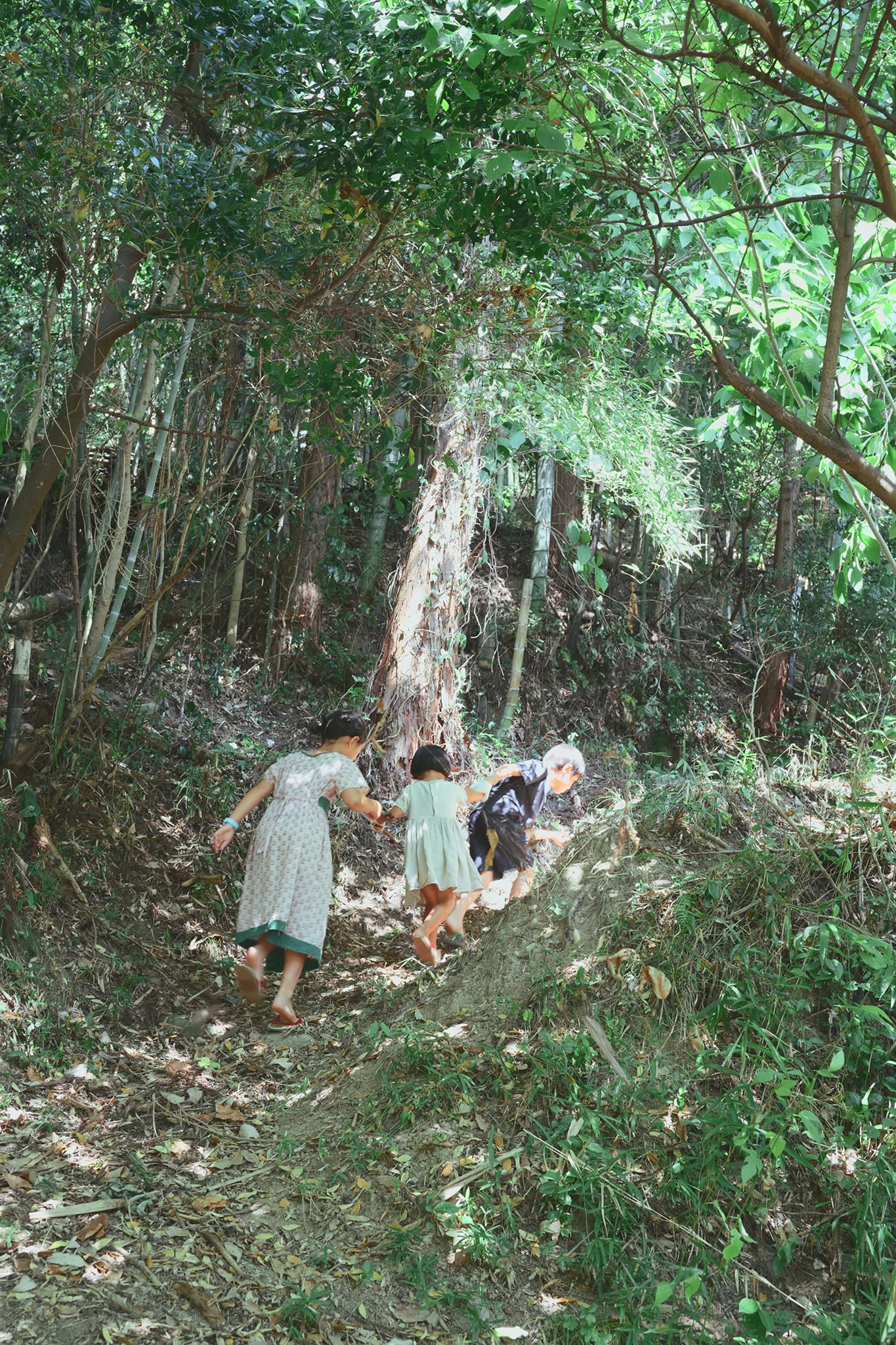 菊本拓志