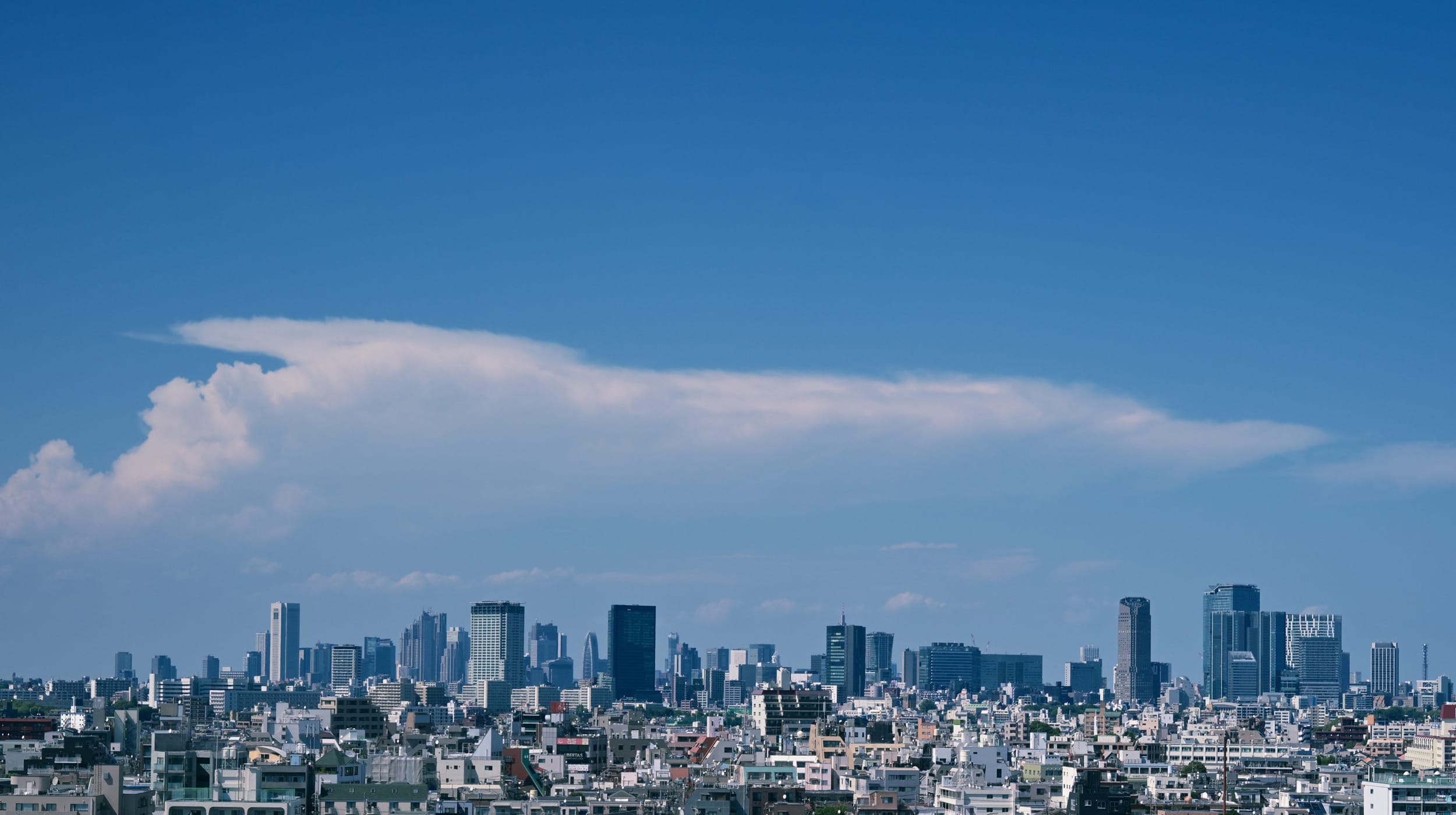 嵐田大志