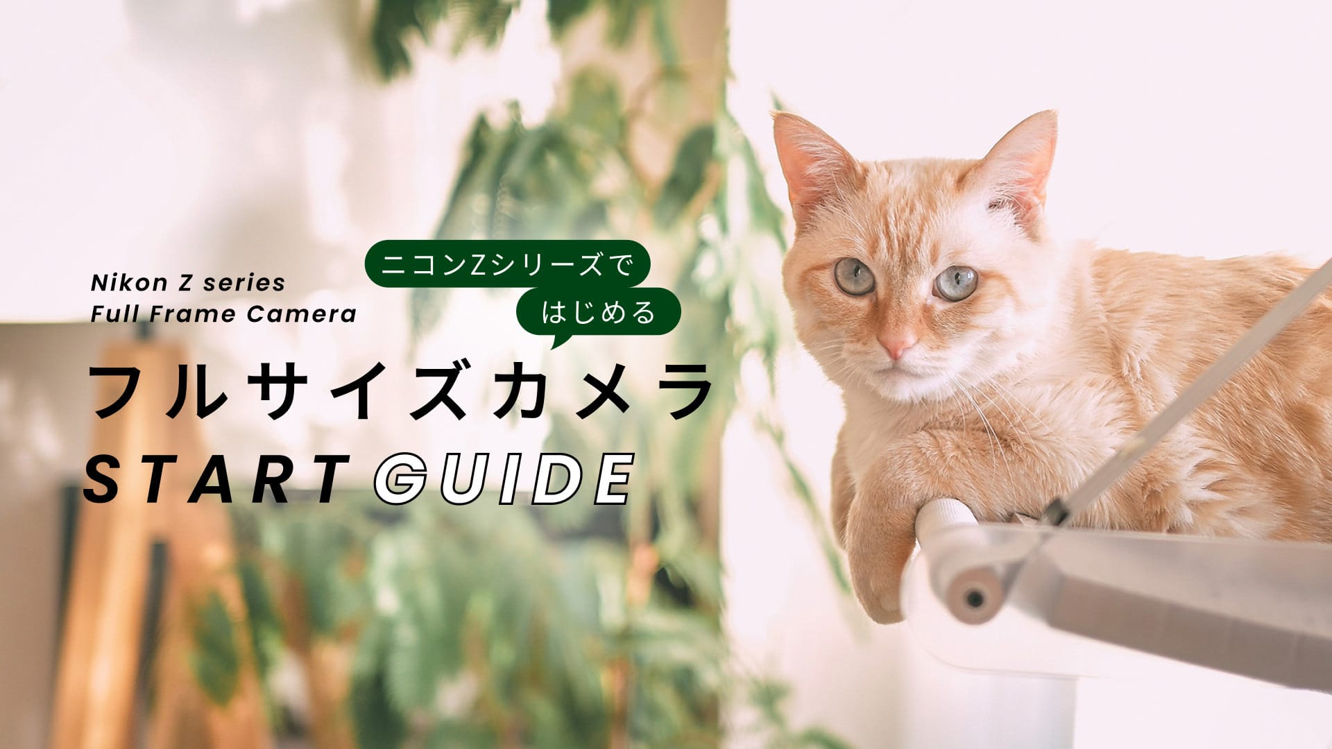 フルサイズカメラ START GUIDE