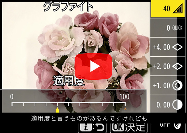 Z 5 Special Talk Session 3