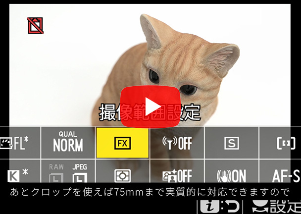 Z 5 Special Talk Session 4