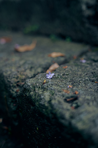 Kimura Hinamiの作品