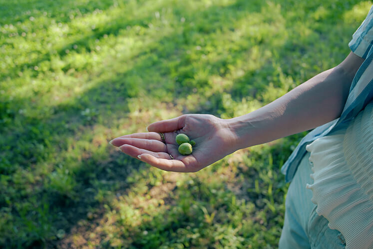 Kimura Hinamiの作品