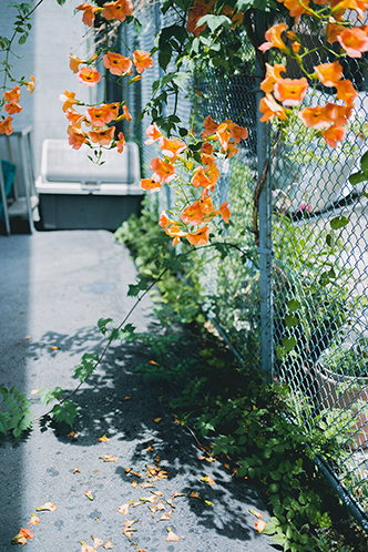 Kimura Hinamiの作品