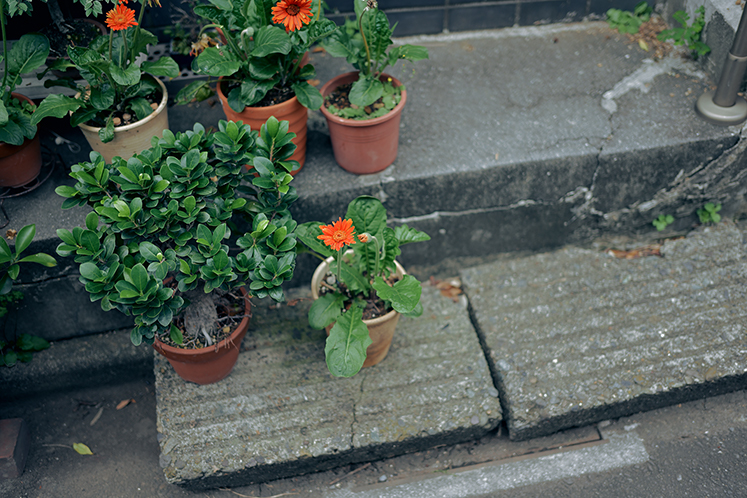 Kimura Hinamiの作品