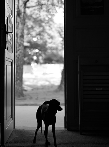 コムロ ミホの作品