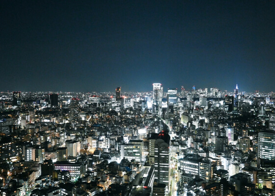 Z fc簡単ガイドブックの作例