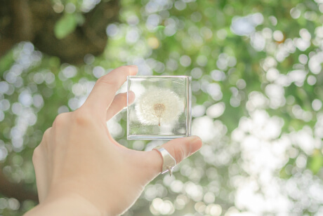 Z fc簡単ガイドブックの作例