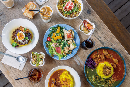 Z fc簡単ガイドブックの作例