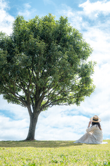 Z fc簡単ガイドブックの作例