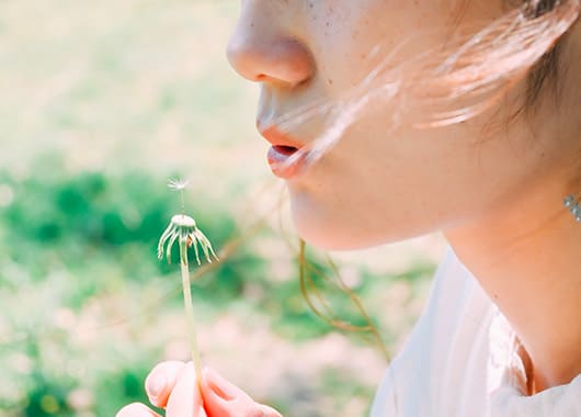 Z fcスペシャルコンテンツの作品