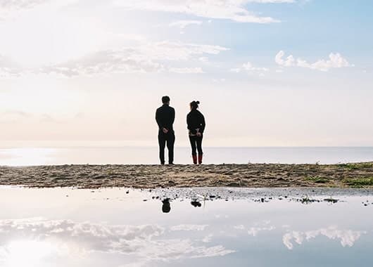 Z fcスペシャルコンテンツの作品