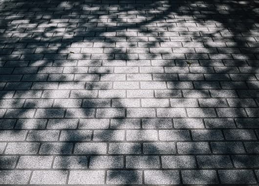 Z fcスペシャルコンテンツの作品