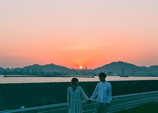 Z fcスペシャルコンテンツの作品