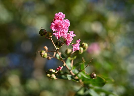 Z fcスペシャルコンテンツの作品