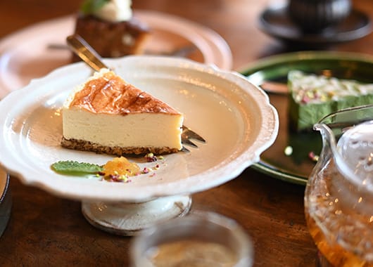 Z fcスペシャルコンテンツの作品