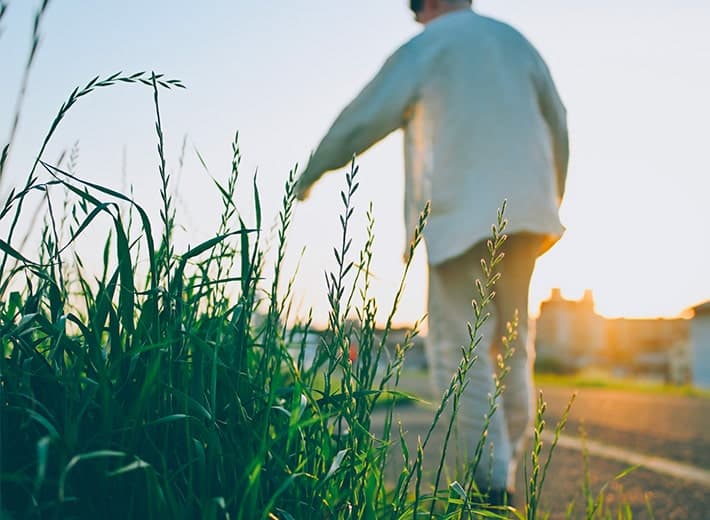Z fcスペシャルコンテンツの作品