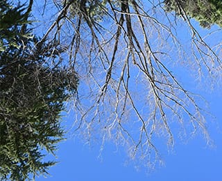 Z fcスペシャルコンテンツの作品