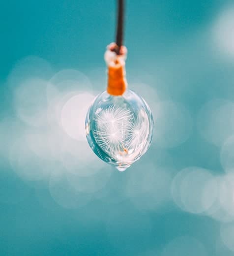 Z fcスペシャルコンテンツの作品