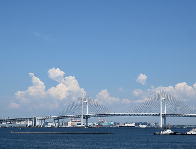 Z fcスペシャルコンテンツの作品