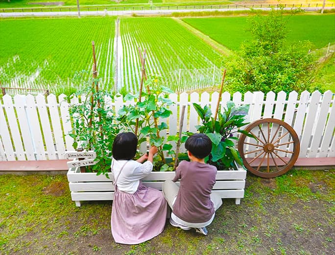 Z fcスペシャルコンテンツの作品