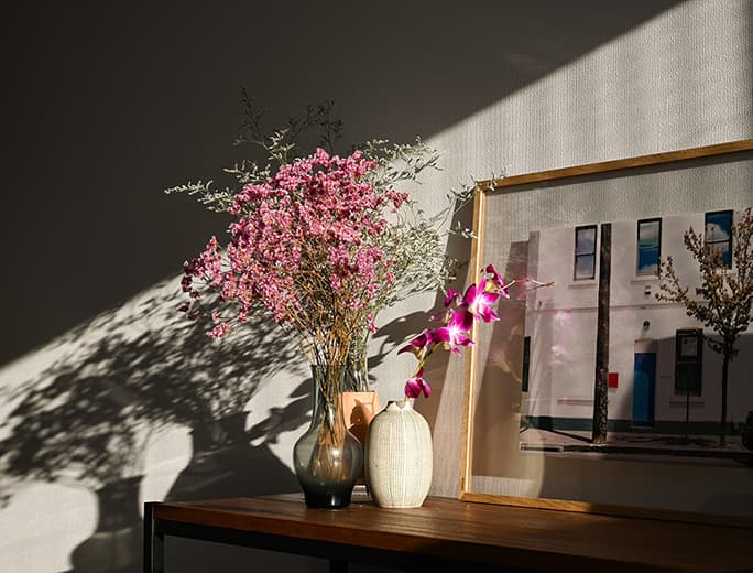 Z fcスペシャルコンテンツの作品