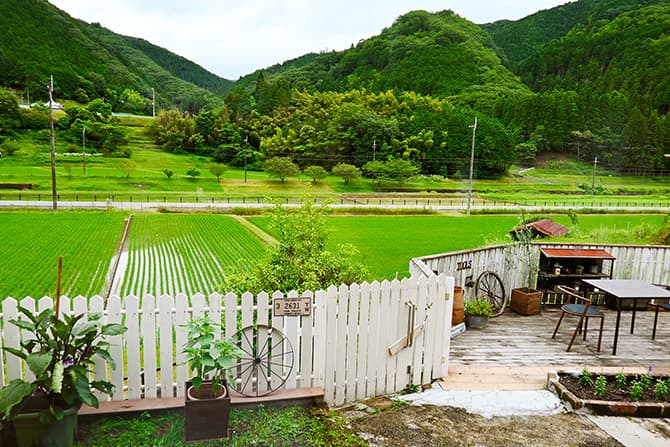 Z fcスペシャルコンテンツの作品