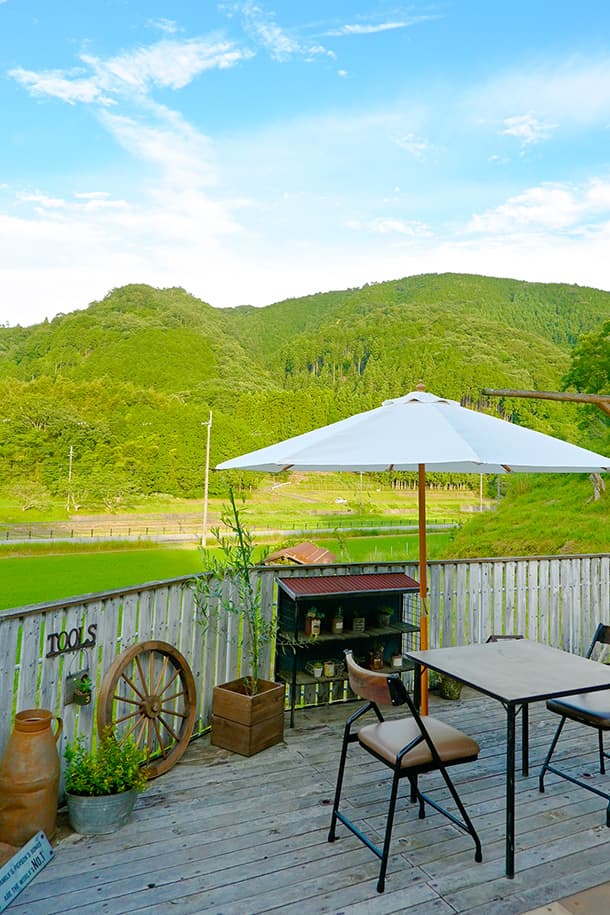 Z fcスペシャルコンテンツの作品