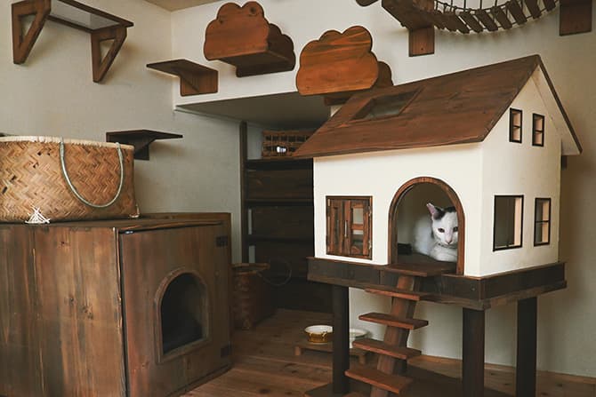 Z fcスペシャルコンテンツの作品